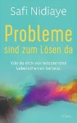 Cover-Bild zum Titel 'Probleme sind zum Lösen da' von 'Safi Nidiaye'