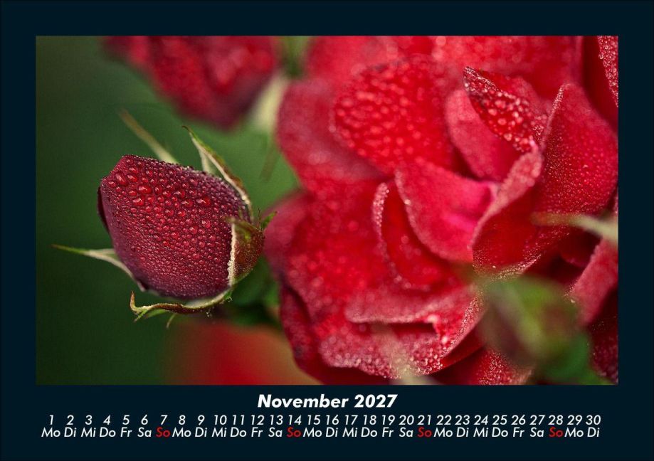 InsideView 3