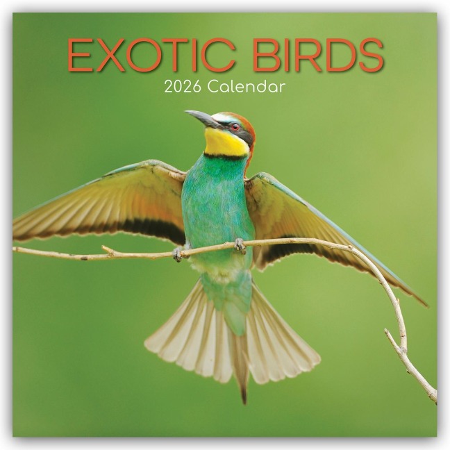Exotic Birds - Exotische Vögel 2026 - 16-Monatskalender - Gifted Stationery Co. Ltd