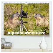 Cover-Bild zum Titel 'Alpenmurmeltiere - Stars vor der Kamera (hochwertiger Premium Wandkalender 2026 DIN A2 quer), Kunstdruck in Hochglanz' von 'Johann Schoerkhuber'