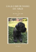 Cover-Bild zum Titel 'Hallo mein Name ist Ares' von 'Volker Meyer'