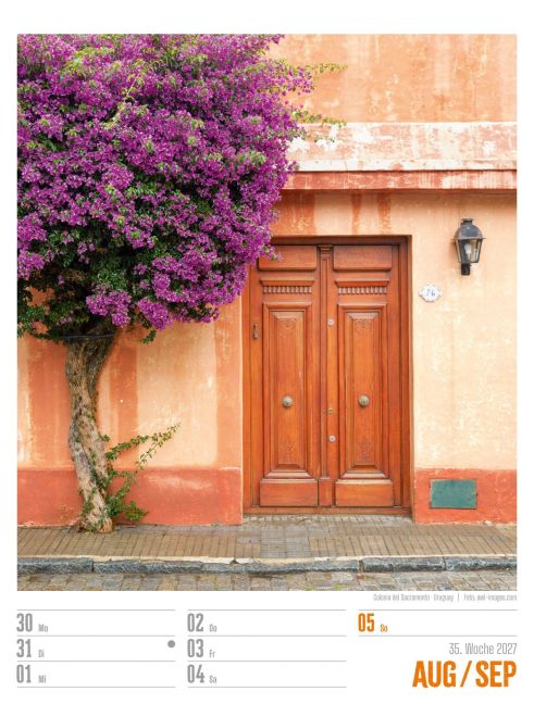 InsideView 39