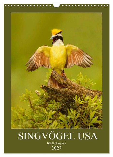 Singvögel USA (Wandkalender 2027 DIN A3 hoch), CALVENDO Monatskalender - Bia Birdimagency