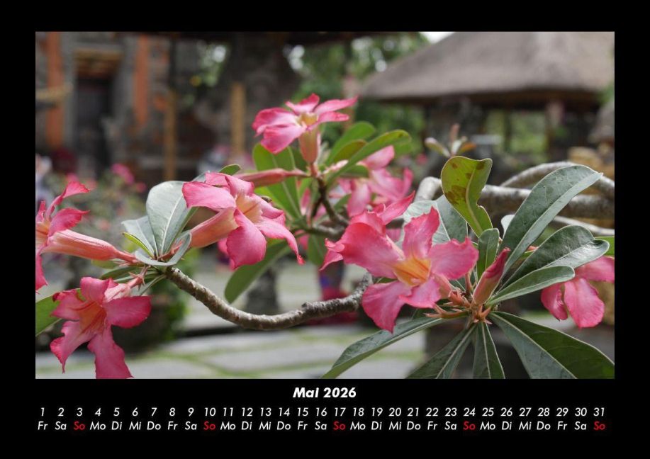 InsideView 9
