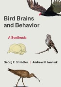 Cover-Bild zum Titel 'Bird Brains and Behavior' von 'Georg F. Striedter'