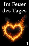 Cover-Bild zum Titel 'Im Feuer des Tages 1' von 'Seth Myer'