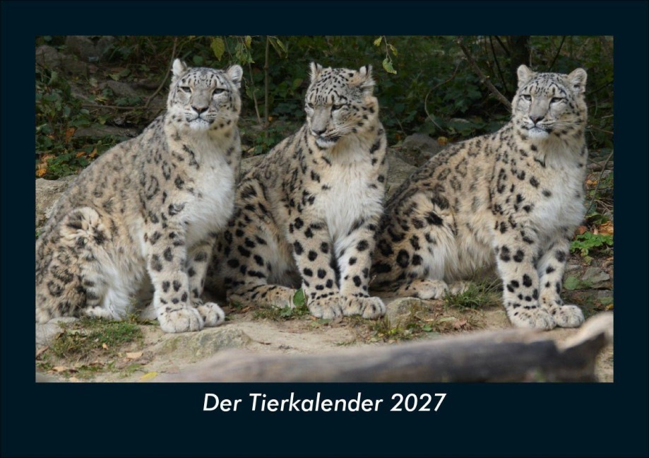 Der Tierkalender 2027 Fotokalender DIN A5 - Tobias Schmitt, Kevin Heber