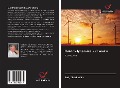Cover-Bild zum Titel 'Elektrodynamika XXI wieku' von 'Jurij Cherkashin'