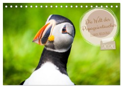 Cover-Bild zum Titel 'Die Welt der Papageientaucher - Islands Wildvögel (Tischkalender 2026 DIN A5 quer), CALVENDO Monatskalender' von 'Dennis Westermann'