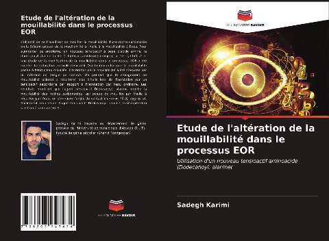 Etude de l'altération de la mouillabilité dans le processus EOR - Sadegh Karimi
