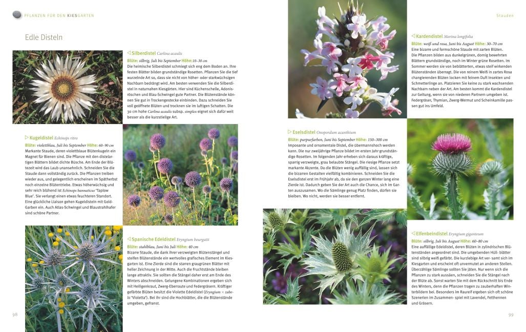 InsideView 7