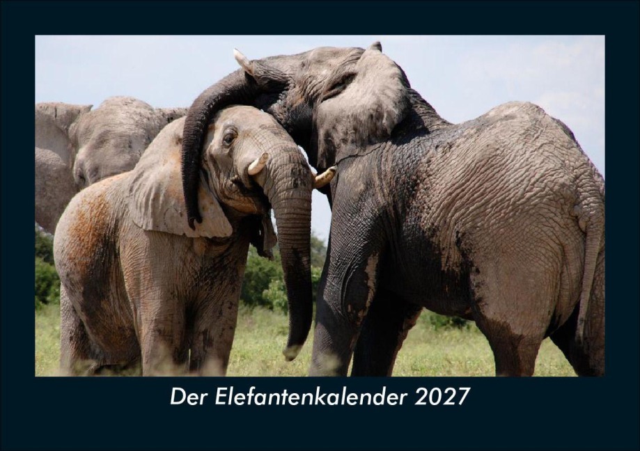 Der Elefantenkalender 2027 Fotokalender DIN A5 - Tobias Schmitt, Kevin Heber