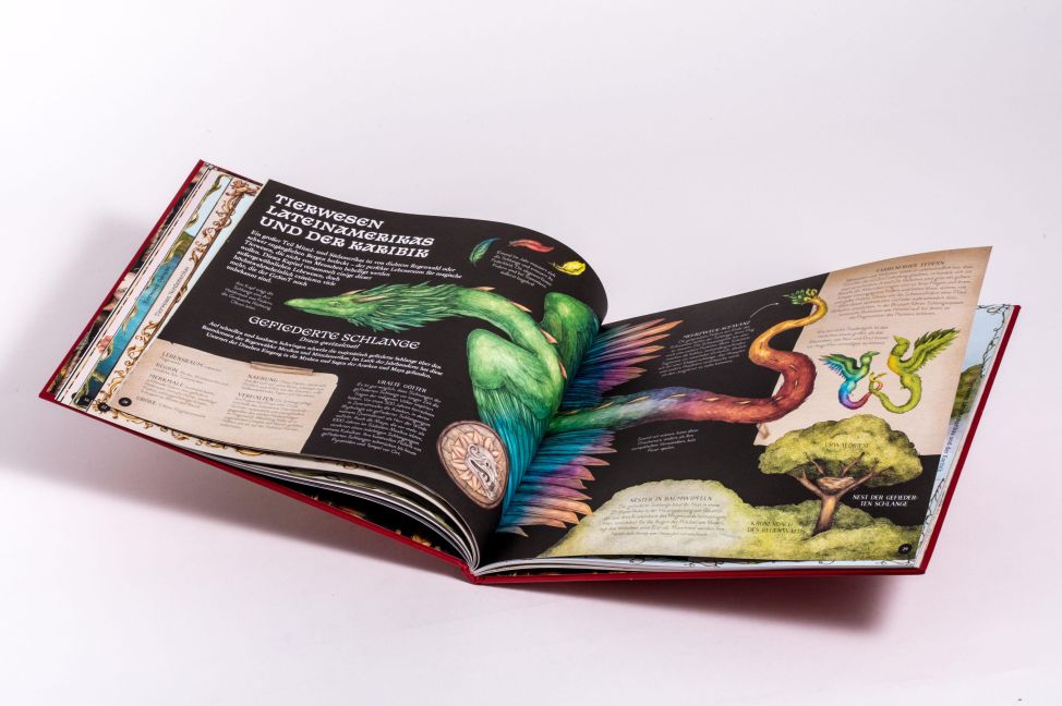InsideView 12