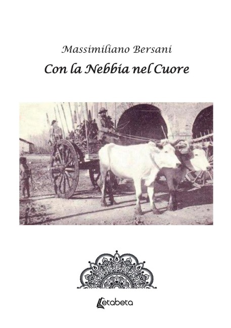 Con la nebbia nel cuore - Massimiliano Bersani