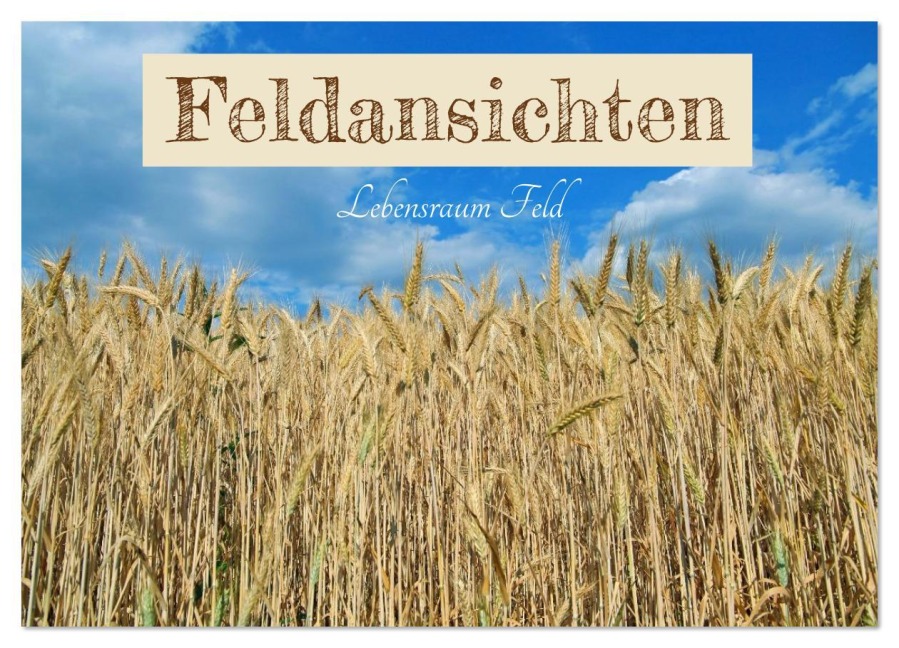 Feldansichten (Wandkalender 2026 DIN A4 quer), CALVENDO Monatskalender - Christine Wirges