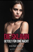 Cover-Bild zum Titel 'Die Sklavin: Geteilt für eine Nacht' von 'Kitty Rogue'
