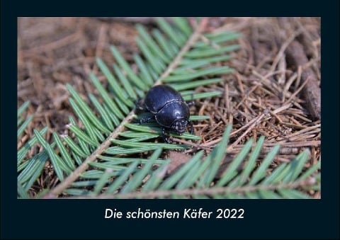 Die schönsten Käfer 2022 Fotokalender DIN A4 - Tobias Becker