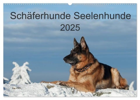 Schäferhunde Seelenhunde (Wandkalender 2025 DIN A2 quer), CALVENDO Monatskalender - Petra Schiller