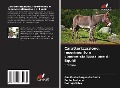 Cover-Bild zum Titel 'Caratterizzazione, inserimento e commercializzazione di Equidi' von 'Ana Paula Borges da Costa, Paulo Pacheco, Rodrigo Silva'