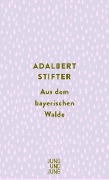 Cover-Bild zum Titel 'Aus dem bayerischen Walde' von 'Adalbert Stifter'