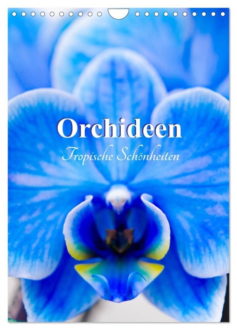 Orchideen - Tropische Schönheiten (Wandkalender 2026 DIN A4 hoch), CALVENDO Monatskalender - Nina Schwarze