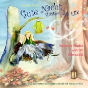 Cover-Bild zum Titel 'Gute Nacht, flüstert die Elfe, Vol. 2' von 'Christina Klenz, Christina Klenz'