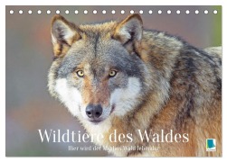 Cover-Bild zum Titel 'Wildtiere des Waldes: Hier wird der Mythos Wald lebendig (Tischkalender 2026 DIN A5 quer), CALVENDO Monatskalender' von 'Calvendo Calvendo'