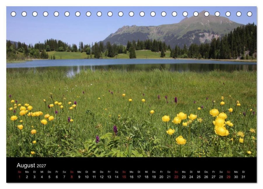 InsideView 10