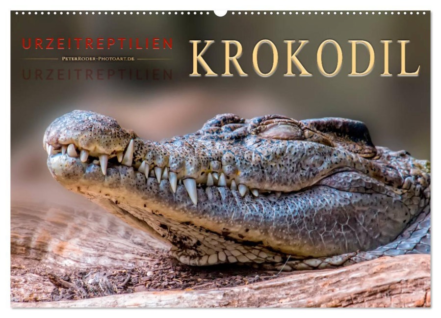 Urzeitreptilien - Krokodil (Wandkalender 2026 DIN A2 quer), CALVENDO Monatskalender - Peter Roder