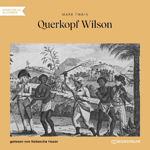 Querkopf Wilson - Mark Twain