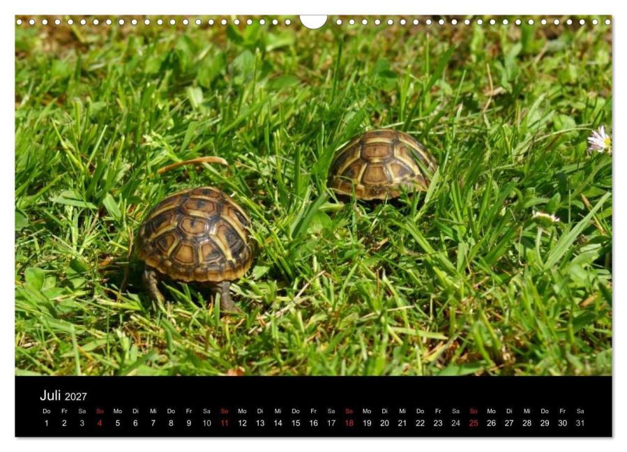 InsideView 12