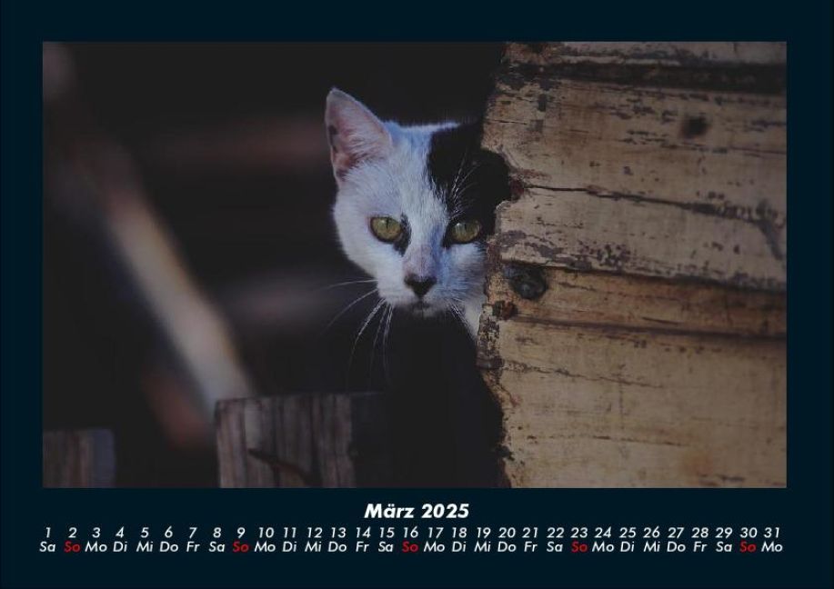 InsideView 7