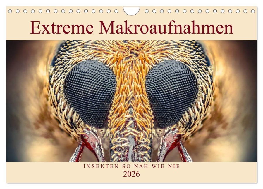 Extreme Makroaufnahmen - Insekten so nah wie nie (Wandkalender 2026 DIN A4 quer), CALVENDO Monatskalender - Ferdigrafie Ferdigrafie