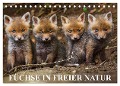 Füchse in freier Natur (Tischkalender 2025 DIN A5 quer), CALVENDO Monatskalender - Ulrich Hopp