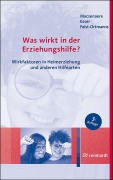Cover-Bild zum Titel 'Was wirkt in der Erziehungshilfe?' von 'Michael Macsenaere, Monika Feist-Ortmanns, Klaus Esser'