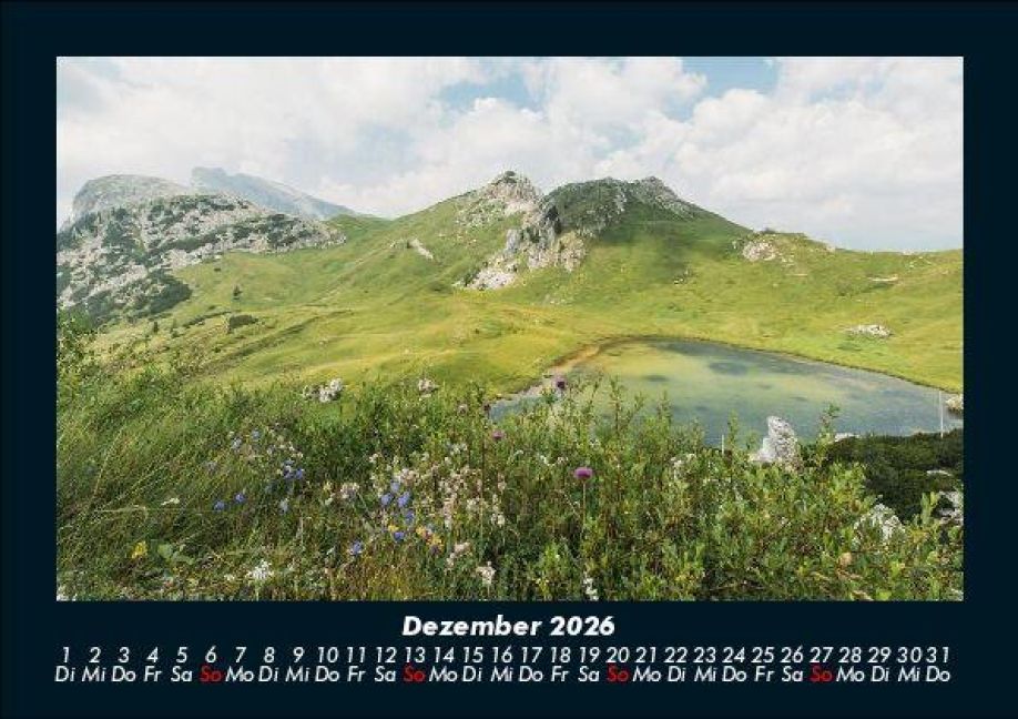 InsideView 4