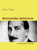 Cover-Bild zum Titel 'Brennendes Geheimnis' von 'Stefan Zweig'