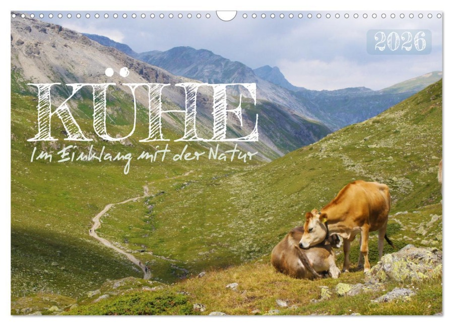 Kühe im Einklang mit der Natur (Wandkalender 2026 DIN A3 quer), CALVENDO Monatskalender - Alexandra Kurz