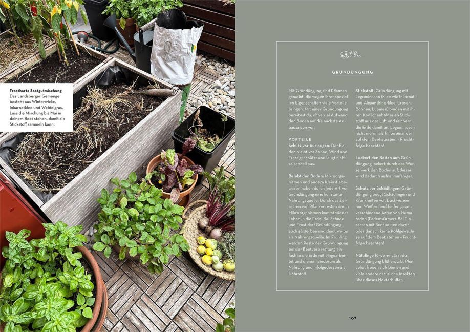 InsideView 5