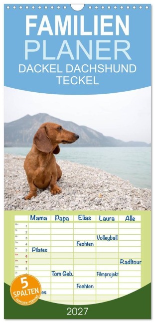 Familienplaner 2027 - DACKEL DACHSHUND TECKEL 2027 mit 5 Spalten (Wandkalender, 21 x 45 cm) CALVENDO - Annett Mirsberger Tierpfoto