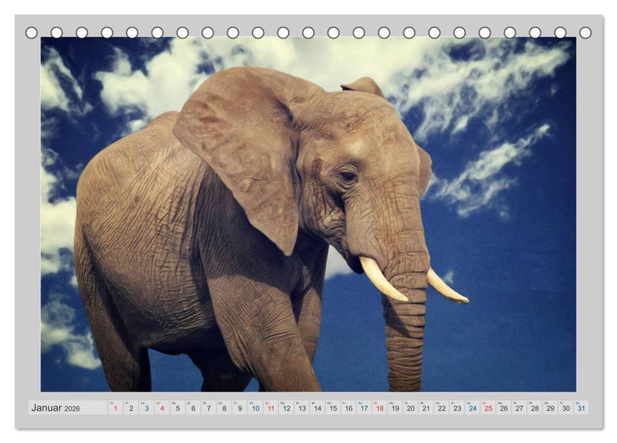 InsideView 6