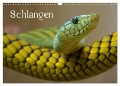 Schlangen (Wandkalender 2025 DIN A3 quer), CALVENDO Monatskalender - Elisabeth Stanzer
