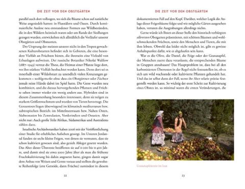 InsideView 10