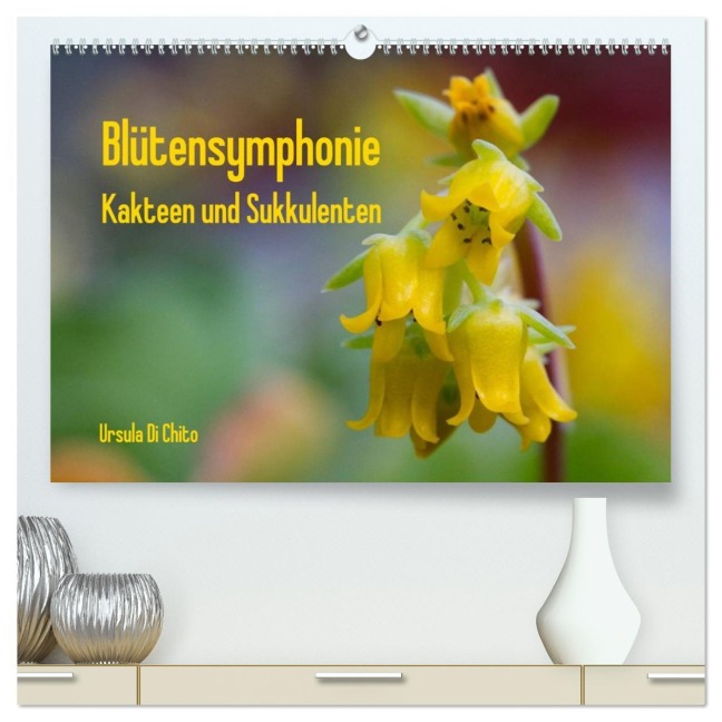 Blütensymphonie - Kakteen und Sukkulenten (hochwertiger Premium Wandkalender 2026 DIN A2 quer), Kunstdruck in Hochglanz - Ursula Di Chito