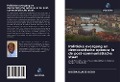 Cover-Bild zum Titel 'Politieke overgang en democratische opbouw in de post-communistische staat' von 'Dogba Blaise Ogou'