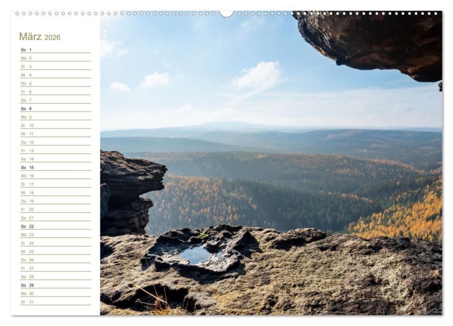 InsideView 8