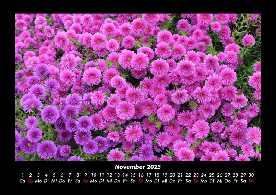 InsideView 3
