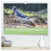 Cover-Bild zum Titel 'Kanadas charmante Kleintiere - Bezaubernde Einblicke in die Natur (hochwertiger Premium Wandkalender 2026 DIN A2 quer), Kunstdruck in Hochglanz' von 'Claudia Pilon'