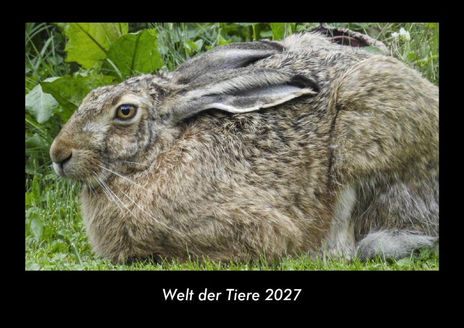 Welt der Tiere 2027 Fotokalender DIN A3 - Tobias Becker