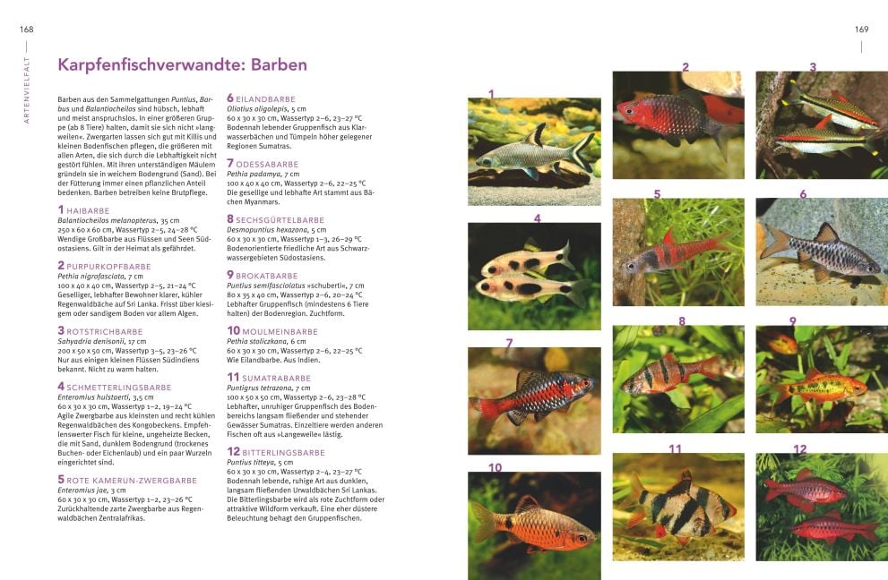 InsideView 7